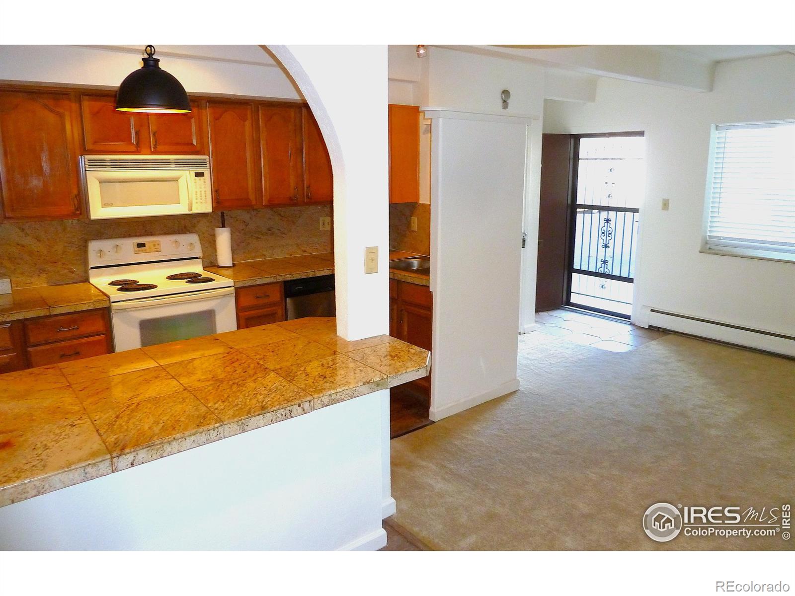 590 N Logan Street Unit 110