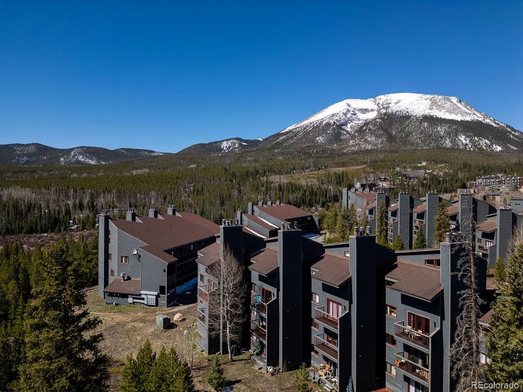 9401 Ryan Gulch Road Unit 9423
