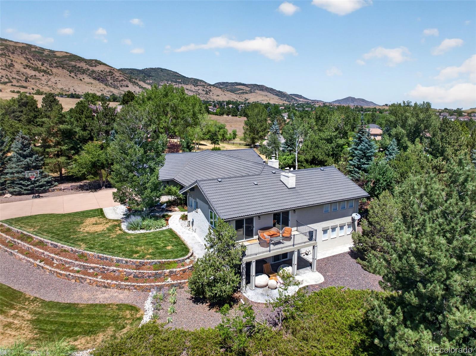 8 Silver Aspen