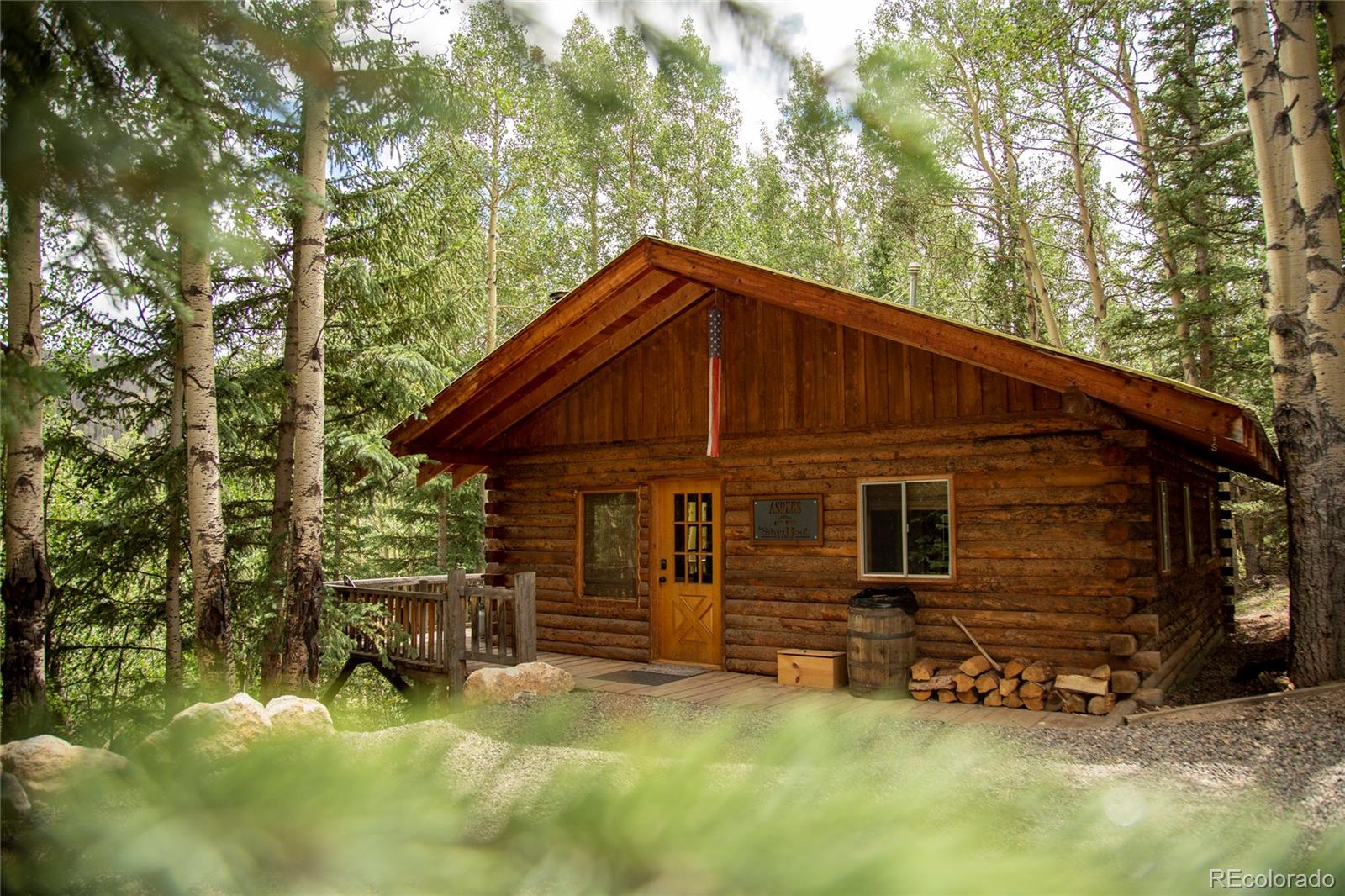 1001 CR 17 Unit Aspen Cabin